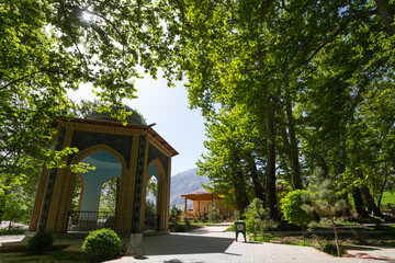 The grove of plane trees