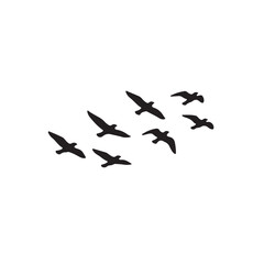 Flock of Birds Silhouette