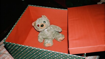 Dark Chirstmas A teddy bear resting in a decorative box with a red interior.