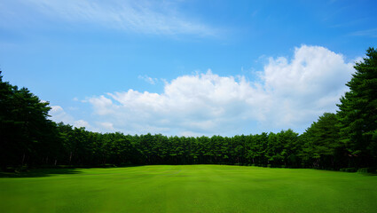 Fototapeta premium Lush Green Golf Course Fairway with Dense Forest and Blue Sky grass
