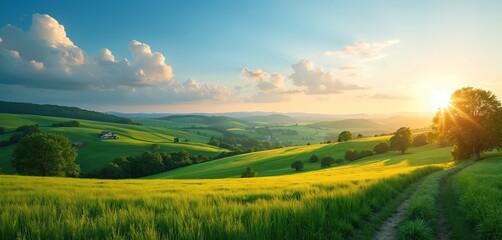Obraz premium Scenic photo captures rolling green hills bathed in soft sunlight. Lush fields and trees under a blue sky create a peaceful summer landscape. A path leads through the meadows.