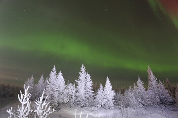 Northern lights