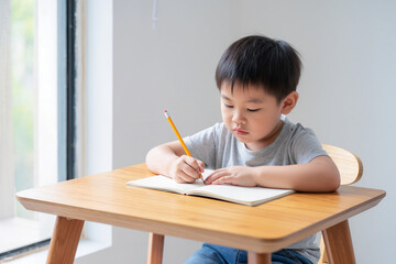 A realistic stock photo of a young child sitting at a wooden desk writing in a notebook with a pencil