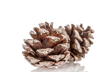 Decorated pine cones for Christmas tree decorations isolated on white background, close-up.