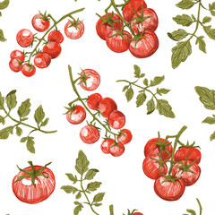 Tomatoes seamless pattern, sketch illustrations, hand drawn illustration
