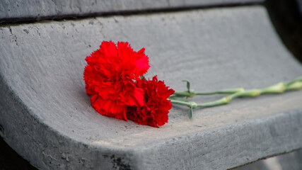Two red carnations lying on a weathered grey concrete monument. Symbol of remembrance and mourning for victims of war. Photo