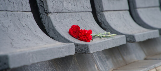 Close-up of fresh red flowers left on a cold stone monument surface. Traditional funeral symbol or Victory Day celebration background with copy space. Photo