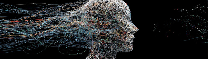Human Head Silhouette with Logic Connections 