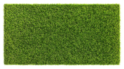 Artificial Green Grass Background Texture