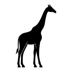 Fototapeta premium Giraffe Silhouette – Elegant Wildlife, Safari Animal, and Nature Art