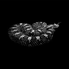 Horned Adder, showcasing its textured scales, distinctive horned head, and classic engraved style. 