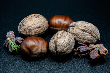 A composition of typically autumnal fruits such as chestnuts and walnuts, enhancing their beauty and detail.