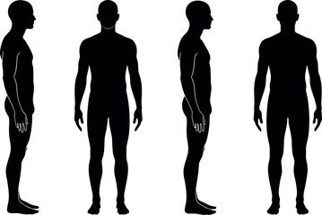Human body silhouette set with front, back, left, right views for anatomy, fitness, medical, posture, and design reference.