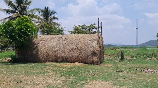 A panoramic view of hay stack in a rural village or paddy straw pile or straw piles arranged