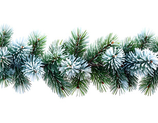 Fresh evergreen branches with snow applied