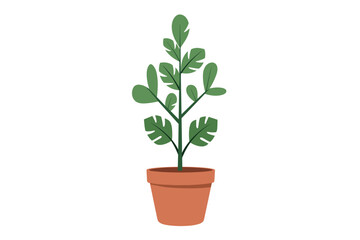 Fototapeta premium Potted plant with green leaves in minimalist style on white background