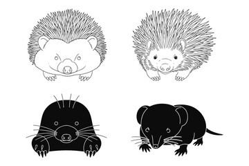 Black and white animal illustrations: hedgehogs, mole, shrew in linear style