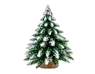 Snowy pine tree with transparent background