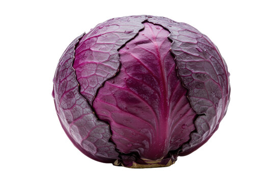 A hyper-realistic close-up of a single vibrant purple cabbage head with dewdrops and crisp veining, isolated on a transparent background, emphasizing healthy food concept - Powered by Adobe