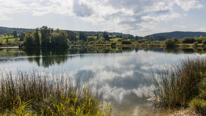 r&eacute;serve naturelle autour du  lac de Remoray pr&egrave;s du lac de Saint Point dans le d&eacute;partement du Doubs en Franche Comt&eacute; en France en &eacute;t&eacute;
