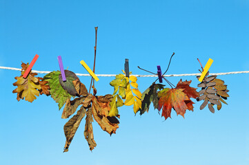 Viele bunte Herbstblätter hängen an einer Wäscheleine vor einem blauen Himmel