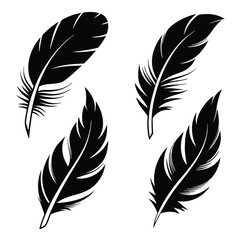 Obraz premium Various stylish feathers shown as black silhouettes are artistically grouped together effectively