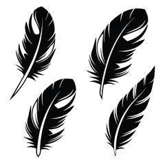 Obraz premium Black contoured feathers are showcased, each uniquely shaped and detailed against a white backdrop
