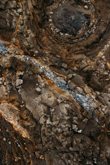 Textured rock surface displaying intricate patterns, showcasing natural geological formations with earthy tones and mineral deposits, emphasizing the beauty of nature's artistry. Background