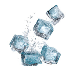 Obraz premium Clear ice cubes falling and splashing water isolated on white background