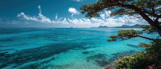 Breathtaking high-angle view of a tropical turquoise ocean with vibrant coral reefs, lush island mountains on the horizon, and clear blue skies, framed by green foliage.