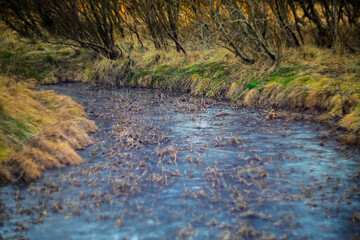 Frozen Stream in Moody Winter Wilderness Landscape