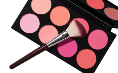 Makeup brush resting on a colorful blush palette isolated on transparent background