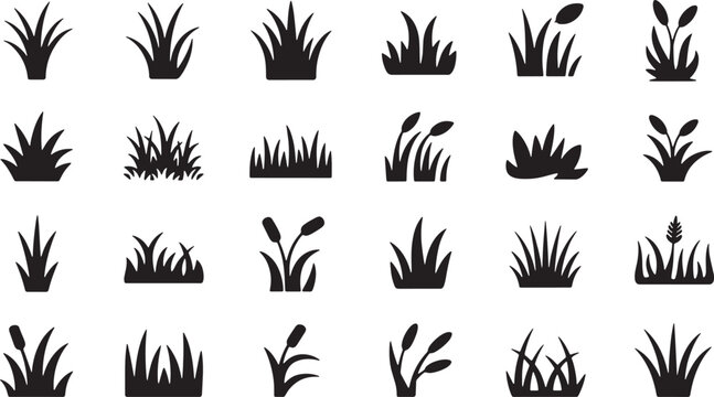 Collection of silhouette grass clumps and reeds