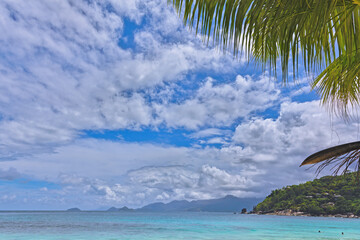 blue sky over a tropical beach with palm trees and sea