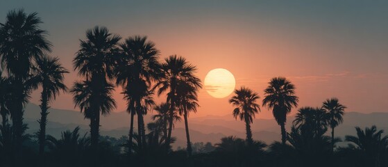 Vibrant sunset landscape with silhouetted palm trees and distant mountains
