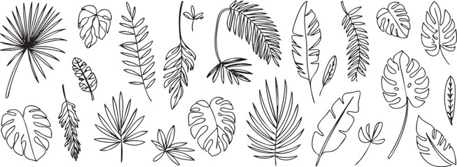 Seamless pattern of various outlined tropical leaves in minimalist style © MR JOKER