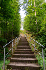 Treppe Wald Gerlingen