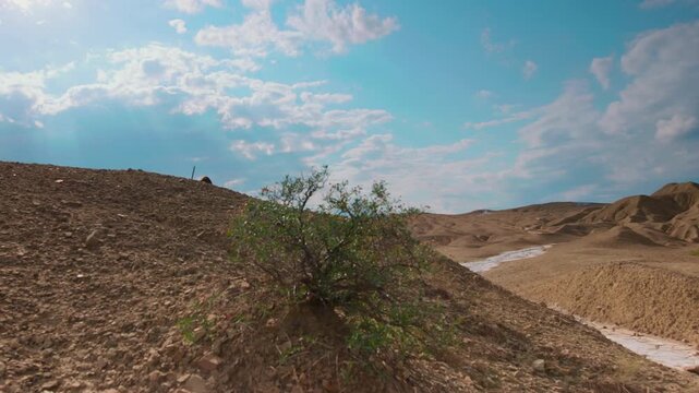 Side view of a pilgrim-like Jesus figure navigating rugged, sunlit dunes in a remote desert wilderness. Minimalist, evocative landscape conveying contemplation and inner journey. Spiritual concept