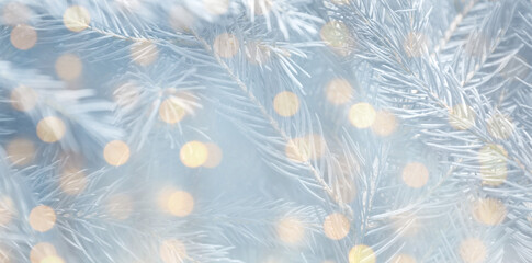 Christmas greeting card with fir tree branches and bokeh lights. Banner design