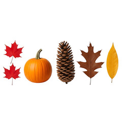 Pumpkin isolated on transparent background