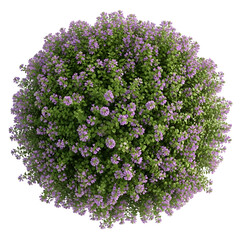 Flower ball isolated on transparent background