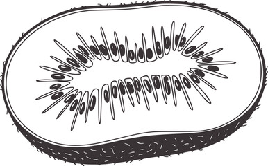 Black and white kiwi fruit slice illustration food