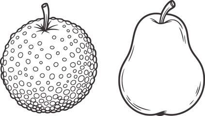 Black and white outline drawing of a pear and a textured round fruit