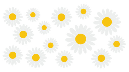 Charming scattered white daisy blossoms with vibrant yellow centers create a fresh spring garden pattern background