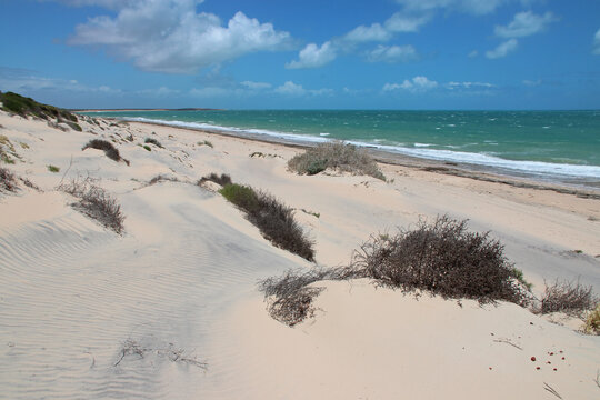 fran&ccedil;ois p&eacute;ron national park - shark bay - australia