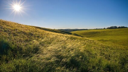 Fototapeta premium Sunny rolling hills with green grass fields under blue sky, bright sunburst in corner, peaceful rural countryside landscape