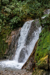 Waterfall flowing over rocks in the rainforest of Peru surrounded by moss, roots and dense green vegetation with natural textures.