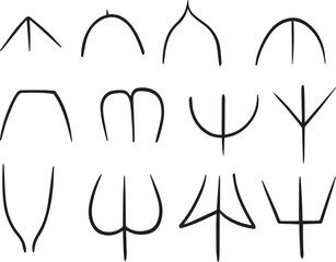 Vector isolated illustration leaf types by base shape.