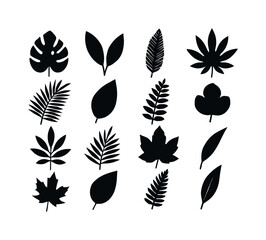 Fototapeta premium Leaf shapes set in black. The shapes include a maple leaf, a palm leaf, a palm tree leaf, a leaf with a stem. Vector EPS 10