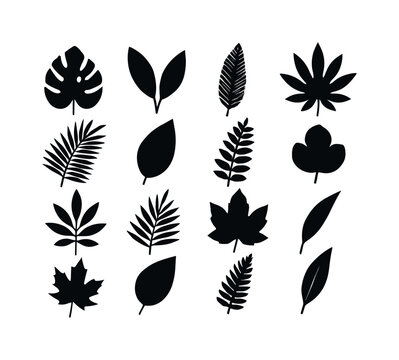 Leaf shapes set in black. The shapes include a maple leaf, a palm leaf, a palm tree leaf, a leaf with a stem. Vector EPS 10